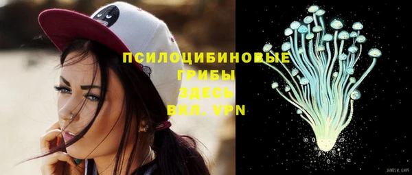 бошки Алексеевка