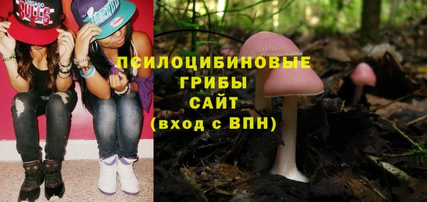 гидра Алзамай